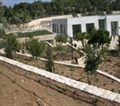 תכנון השקיה בממטירים The Knesset building - The enterance